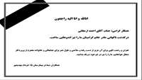 همکار گرامی: جناب آقای احمد ارمغانی 