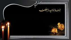 همکار گرامی، جناب آقای طبسی