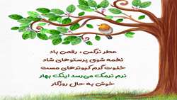 نرم نرمک می رسد بهار... پیشواز رفتن برای بهاری تازه نفس