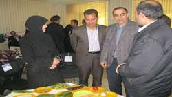 برگزاری کلاس آموزشی اپیدمیولوژی بیماری های واگیردار در بیمارستان 15 خرداد مهدیشهر